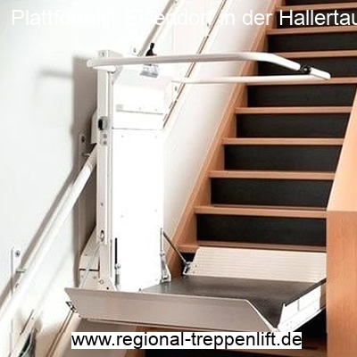 Plattformlift  Elsendorf in der Hallertau
